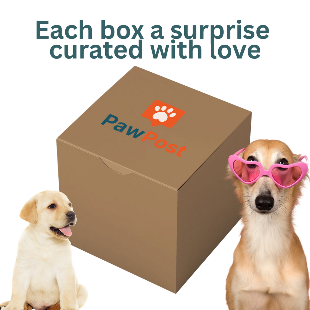 Small/Medium Dog Surprise Box