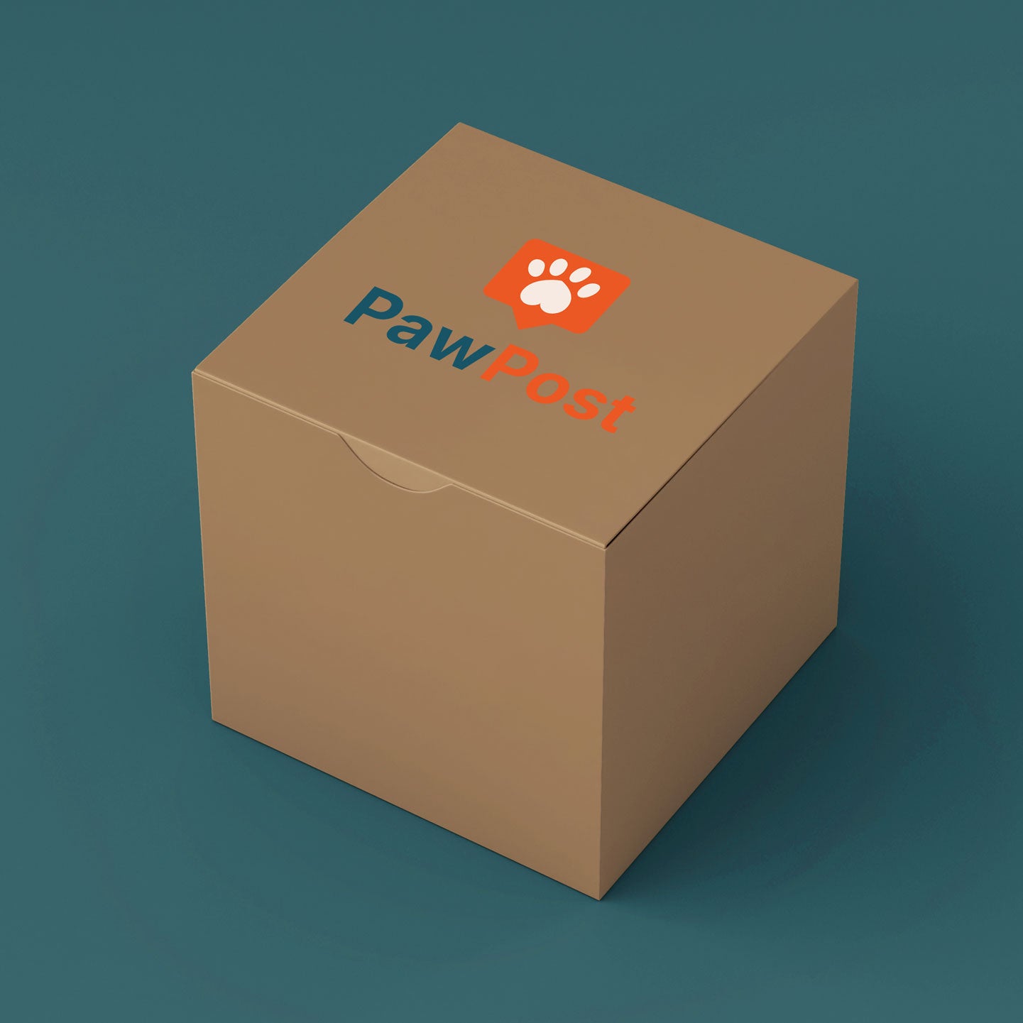 Small/Medium Dog Surprise Box