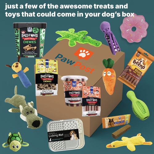 Small/Medium Dog Surprise Box